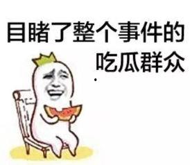 资深娱乐吃瓜群众,资深吃瓜群众带你揭秘幕后真相